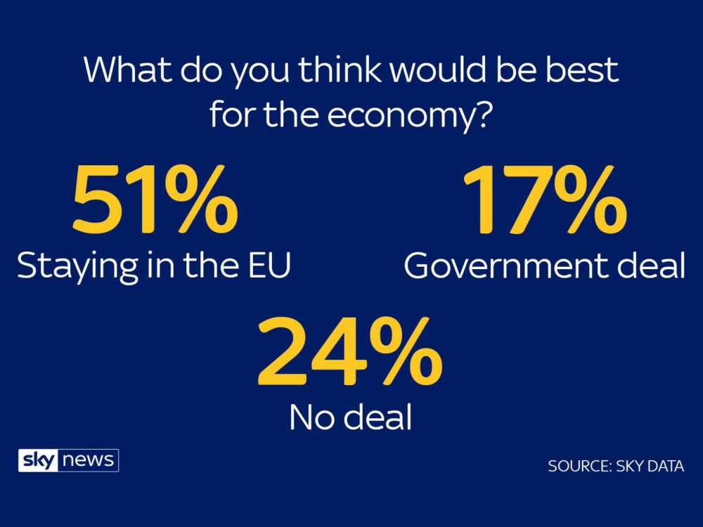 skynews-sky-data-brexit_4502520.jpg