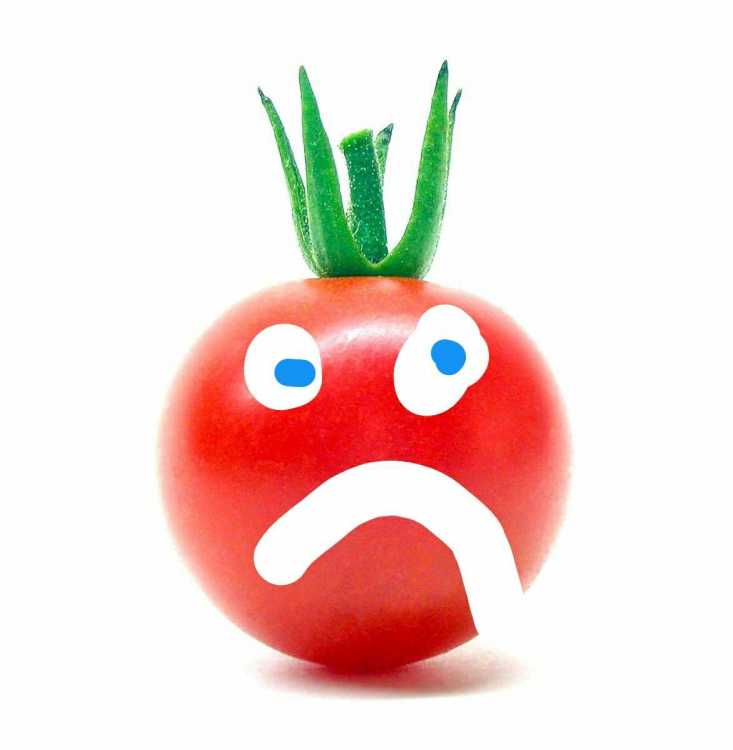 cherry-tomato-1511698__01__01.jpg