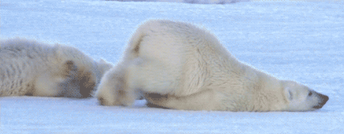 IMG_2913.gif.c190f910bc73349de955462ea159ceac.gif