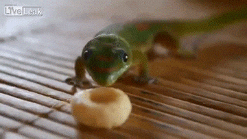 giphy.gif.2168557e8f88cd6d9dbcf7ca345d2477.gif