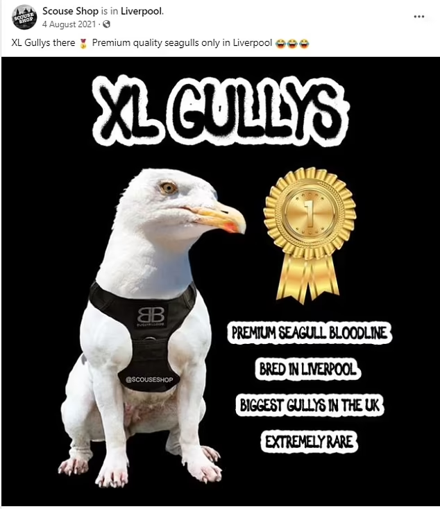image.png.7c02cacee146ec1968dd9857704fc814.png