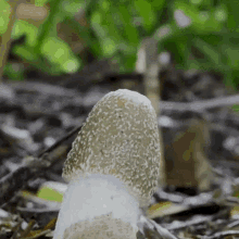 boner-hard-on.gif.ff51b2eeebe681f4fcf6d9d451558cb2.gif