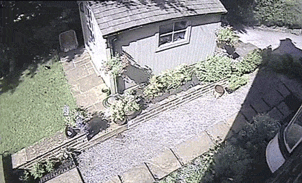 IMG_3927.gif.8536be276ad35d22af7cc96b930f1a30.gif