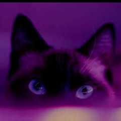 catmag