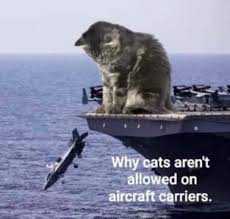 image.jpeg.d245984cd4c8610e27cfb5ba7d8465fc.jpeg