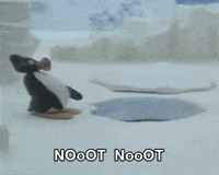 IMG_3471.gif.aec3317a48bf5869a9b2501ab132e5b0.gif