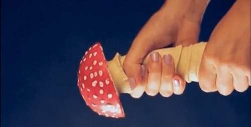 IMG_3750.gif.66e66315aa824696440b505a985e83c4.gif
