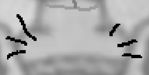 image.png.b6633fd453249ab7ab476aac324725fa.png