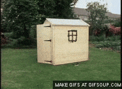 187540463_Shedcollapse.gif.17c32b544d6018773aa738dead20be55.gif