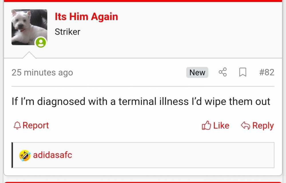 Screenshot_20250706_131911_Chrome.thumb.jpg.ff4a0f4d3668bbb1711a795dd468fdbf.jpg