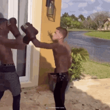 island-boys-boxing.gif.efb2eca060a9dbdf091db5c90d874273.gif